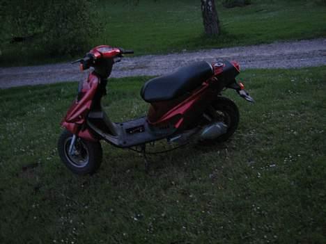 PGO Hot (FØR) - Byttet billede 7