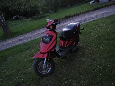 PGO Hot (FØR) - Byttet billede 8