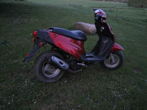 PGO Hot (FØR) - Byttet billede 9