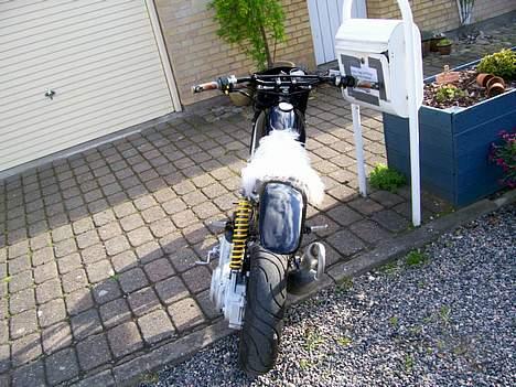 Suzuki           Street Magic AC billede 2