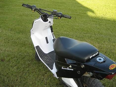 PGO Hot 50: Det Sorte Svin <3 - *Gamle yderskjolde og nye inder skjolde* billede 3