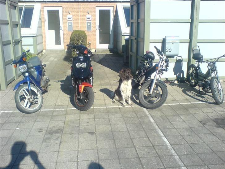 PGO Hot50 • Før • billede 8