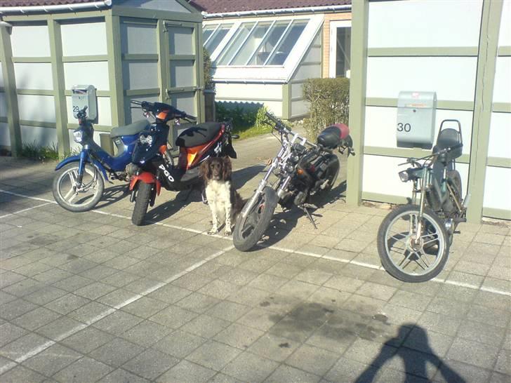 PGO Hot50 • Før • billede 9