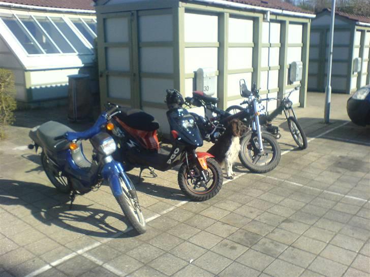 PGO Hot50 • Før • billede 10