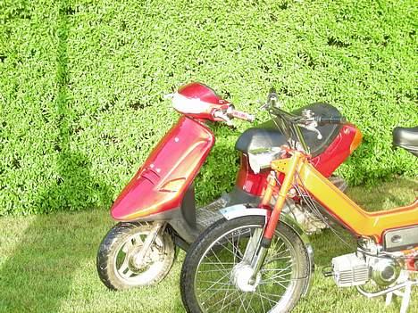 Puch Maxi Kl Solgt. billede 9