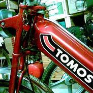 Tomos GT 2 Automatic