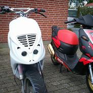 Aprilia Sonic GP AC Replica