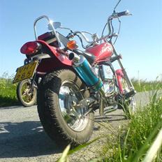 Regal Raptor -byttet til bws-