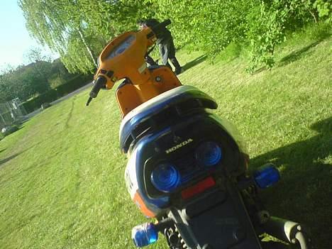 Honda SFX Solgt billede 19