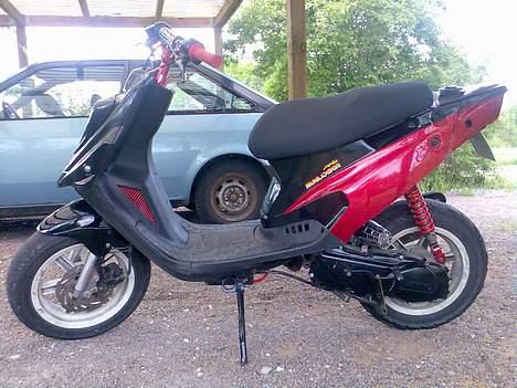 PGO hot 50 billede 15