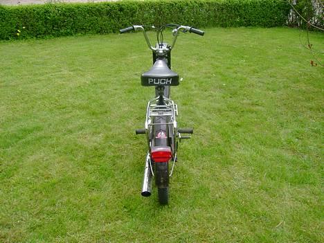 Puch Maxi k "Sæby´s" billede 9