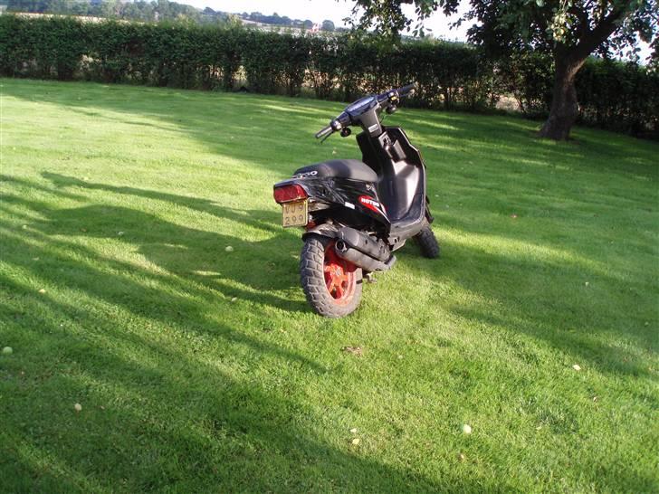 PGO Hot 50 solgt billede 4