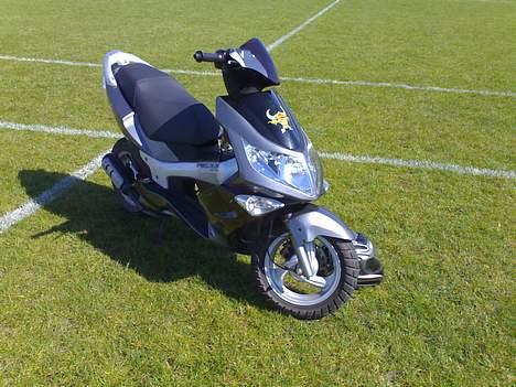 PGO G-MAX billede 20