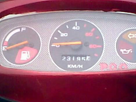 PGO hot 50 billede 1