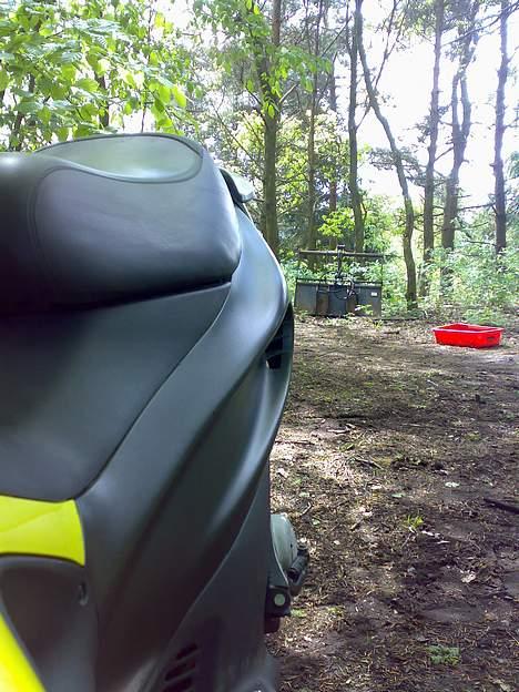 Gilera Runner  billede 5