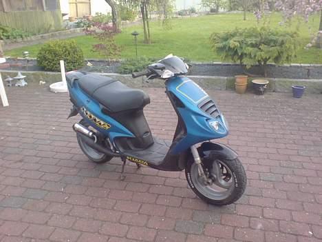 Piaggio NRG "Stjålet" billede 1