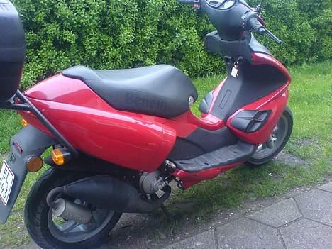 Benelli 491 Raceing  billede 3