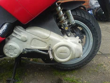 Benelli 491 Raceing  billede 4