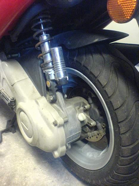 Benelli 491 Raceing  billede 6