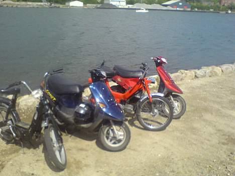 Puch Maxi Kl Solgt. billede 17