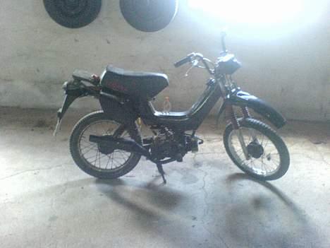 Yamaha Sting billede 1