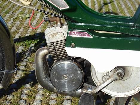 Veteraner Mobylette billede 7