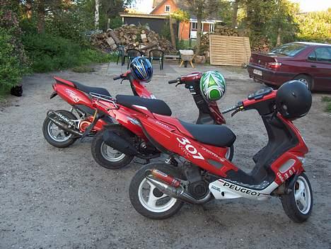 PGO Hot 50 - Solgt! billede 8