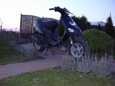 Gilera stalker billede 5