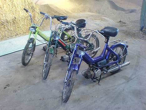 Puch maxi s projekt billede 3