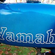 Yamaha fs-1 4 g SOLGT