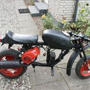 MiniBike adly special