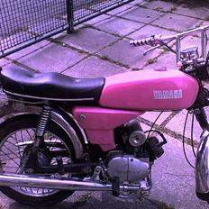 Yamaha fs-1 4g "team snoogins"