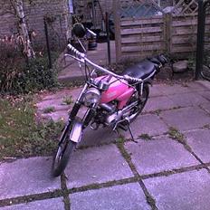 Yamaha fs-1 4g "team snoogins"