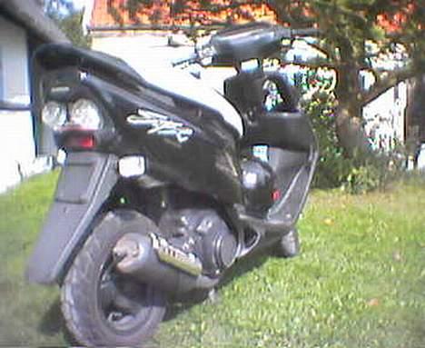Honda SFX billede 1
