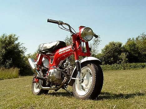 Honda Dax Budweiser billede 1