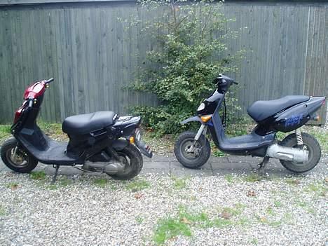 PGO hot 50 STJÅLET !! billede 3