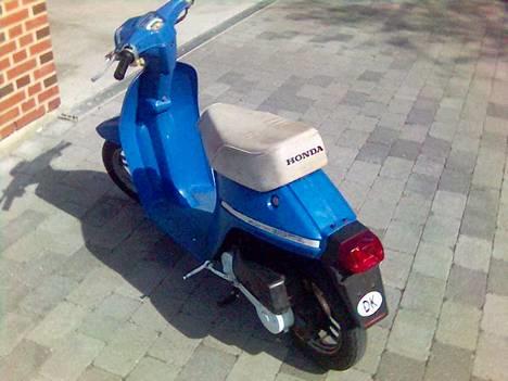 Honda Melody alias MeloDyret billede 2