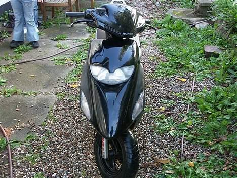 Honda Sfx {Solgt} billede 5