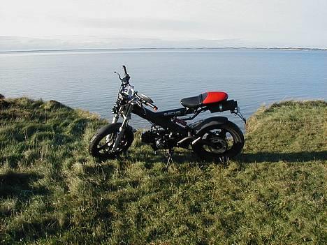 Sachs MadAss | S O L G T billede 5