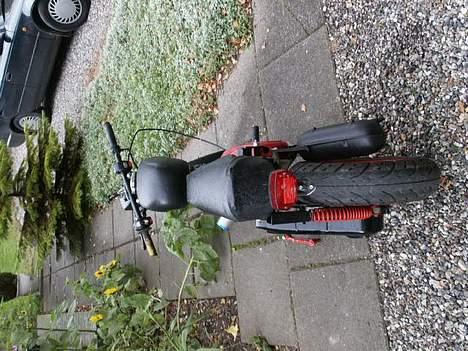 MiniBike adly special billede 3
