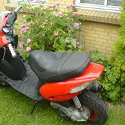 Gilera stalker