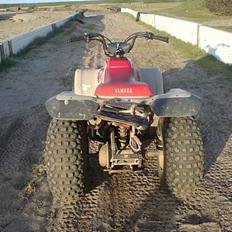 Yamaha breeze