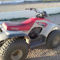 Yamaha breeze