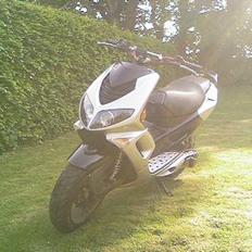 Peugeot  Speedfight [AC] *BEFORE*