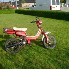 Suzuki FZ50 "Byttet"