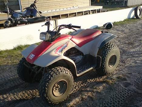 Yamaha breeze billede 5