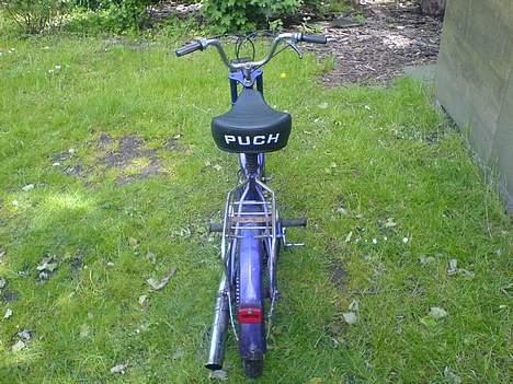 Puch maxi s projekt billede 5