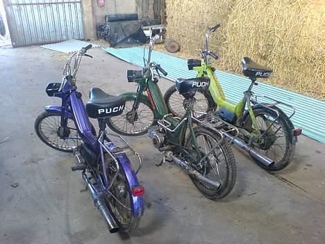 Puch maxi s projekt billede 8