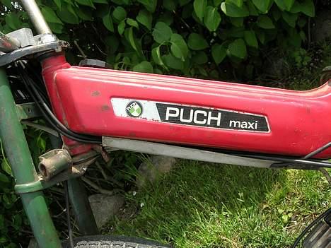 Puch maxi P billede 8