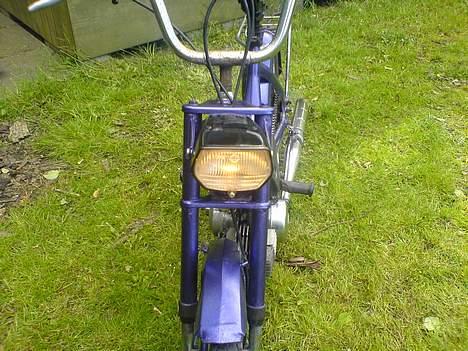 Puch maxi s projekt billede 18